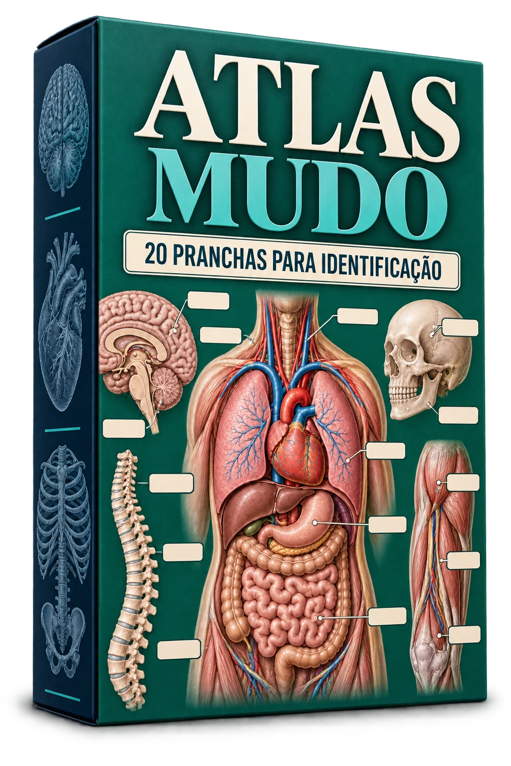 Mockup do Atlas Mudo