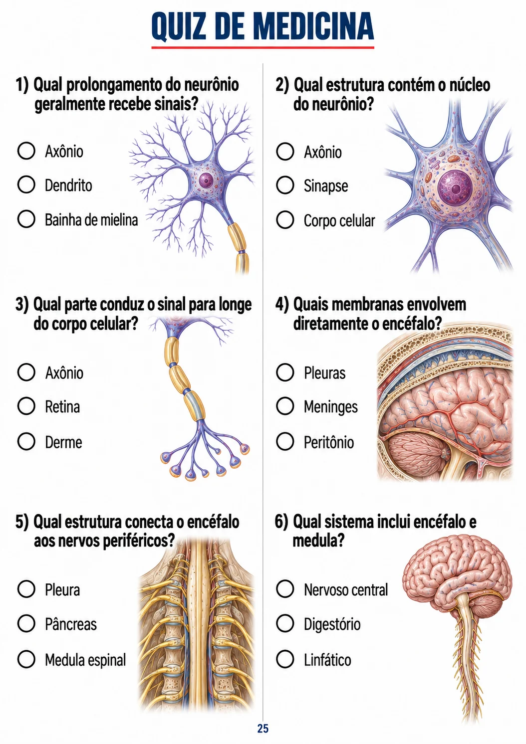 Rodada sobre sistema nervoso