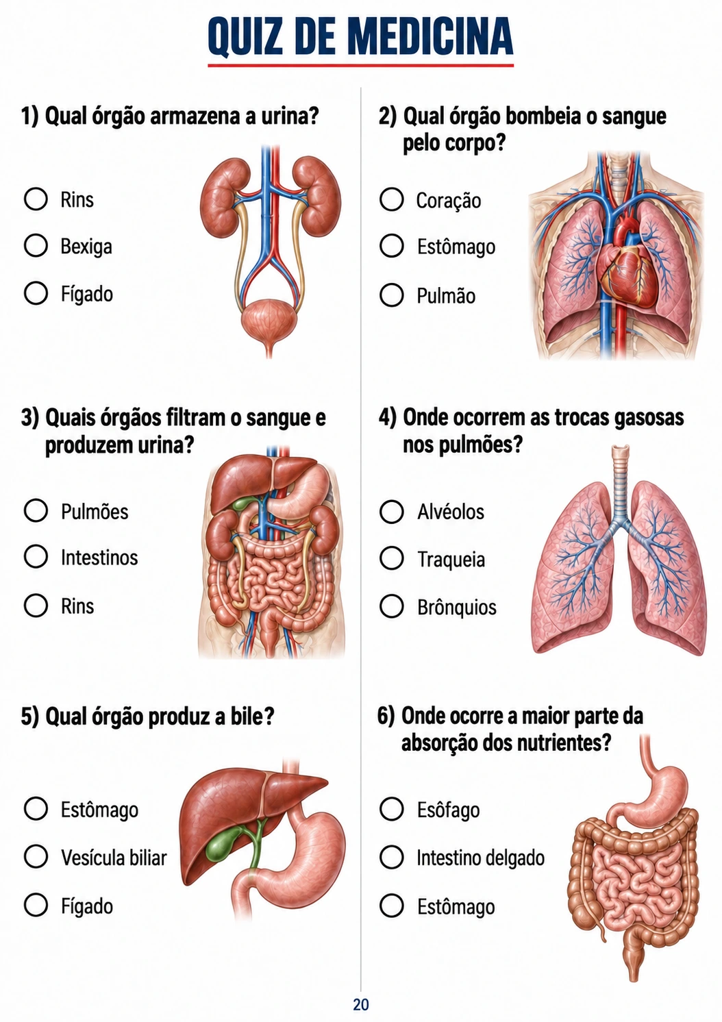 Amostra do Plano Básico QuizMed
